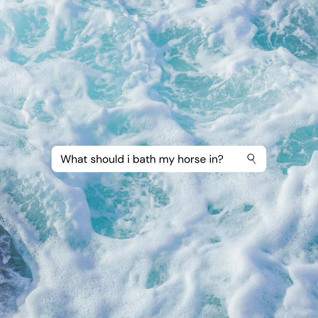 What should I bath my horse In?