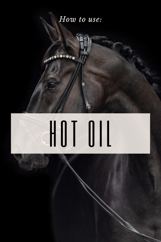 Hot Cloth your horse like a pro!