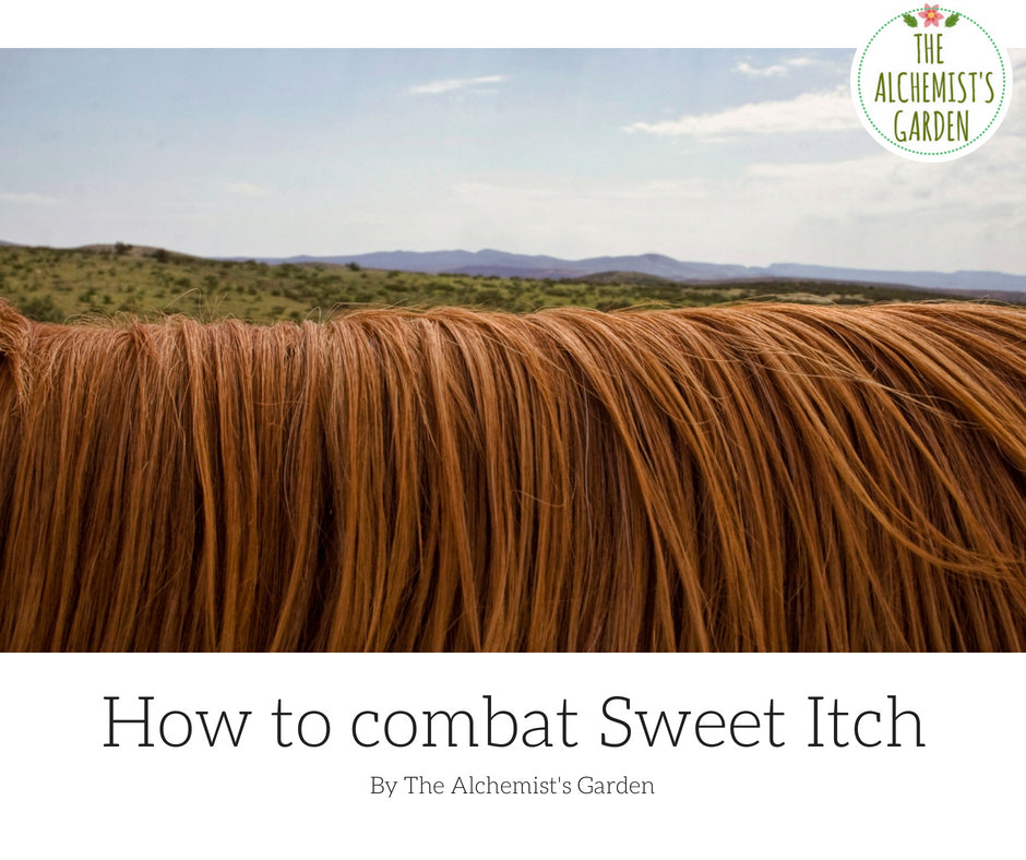 How to naturally combat Sweet Itch
