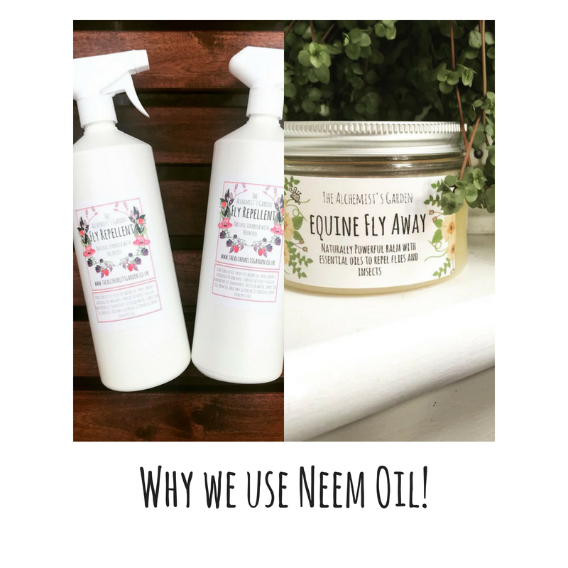 Why do we use Neem Oil?