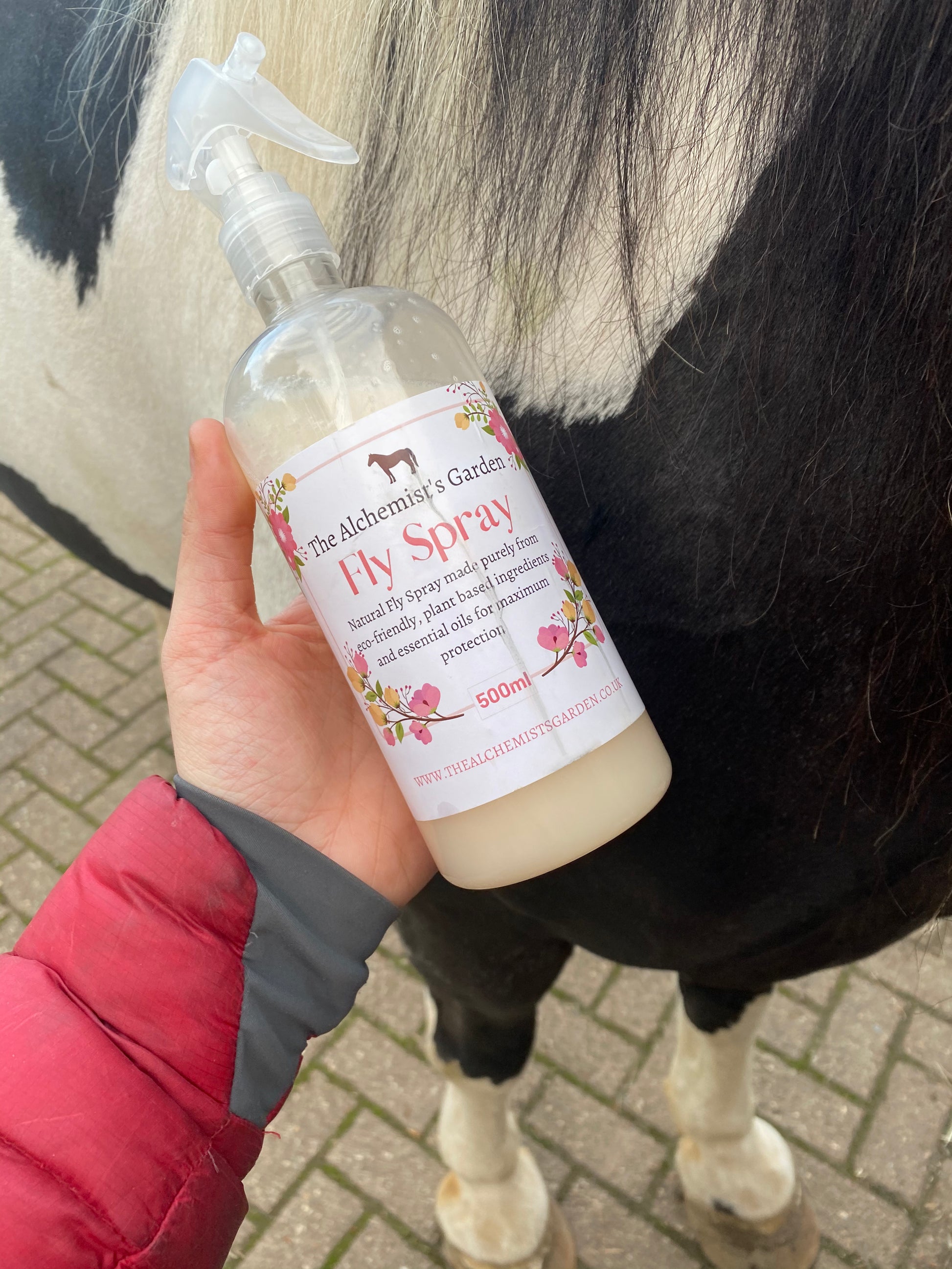 Natural fly best sale spray for dogs